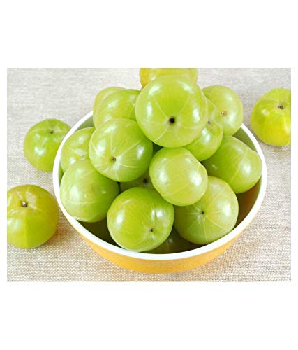 আমলকির উপকারিতা