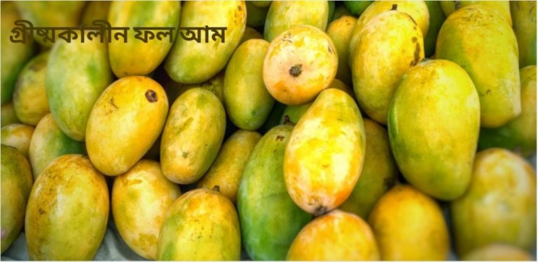 গ্রীষ্মকালীন-ফল-আম