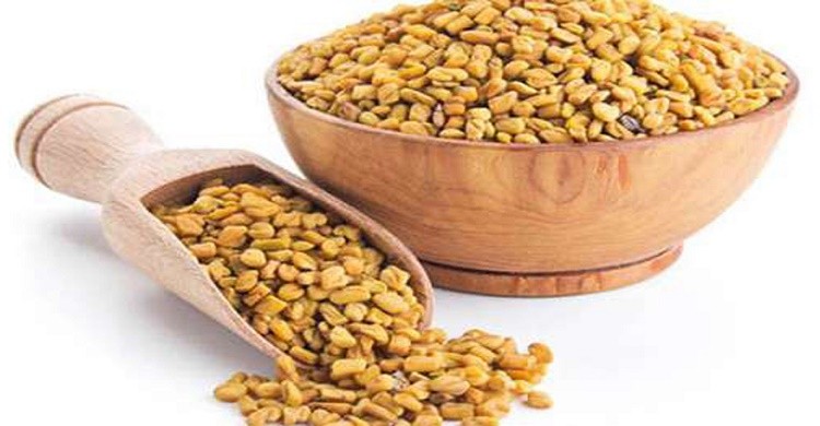 মেথির উপকারিতা ও অপকারিতা