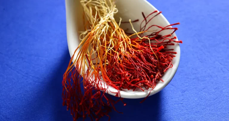 জাফরানের উপকারিতা