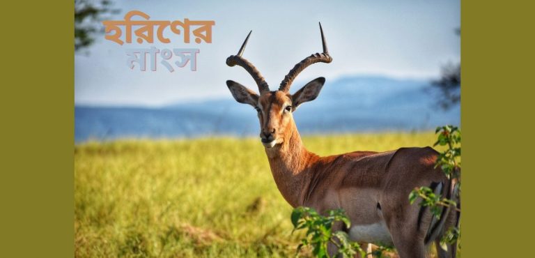 হরিণের মাংস