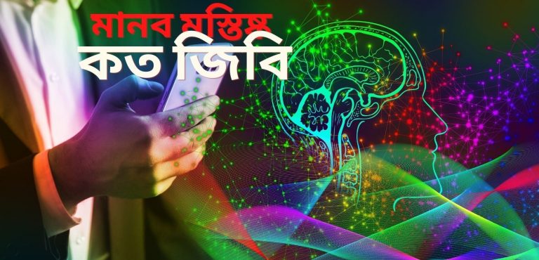 মানব মস্তিষ্ক কত জিবি