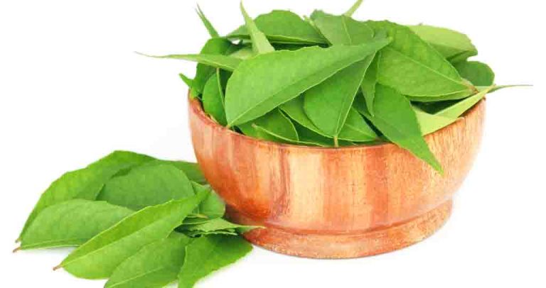 কারি পাতা