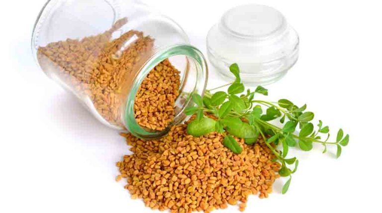 fenugreek benefits and side effects