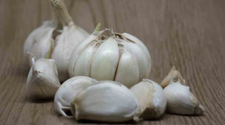 The benefits of garlic