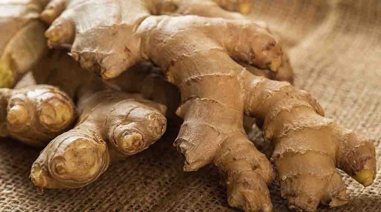 The Benefits of Ginger