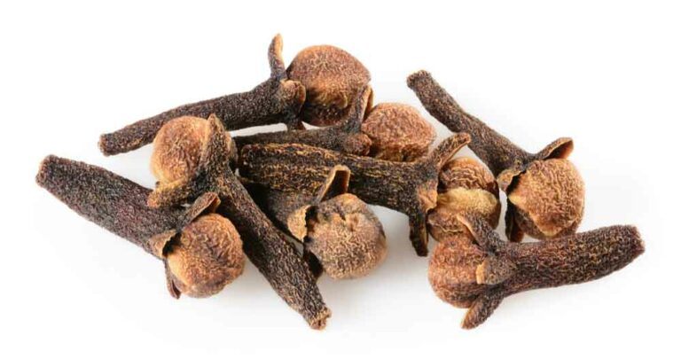 লবঙ্গ উপকারিতা ও অপকারিতা