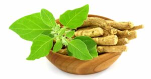 অশ্বগন্ধার উপকারিতা ও অপকারিতা