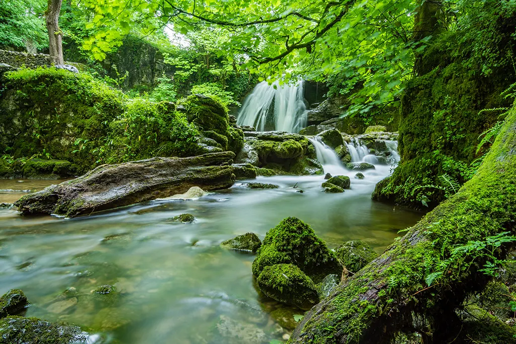 প্রাকৃতিক দৃশ্য