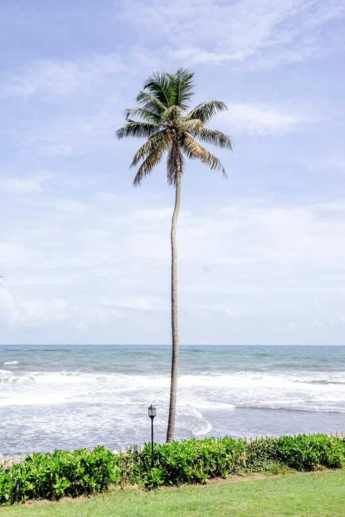 প্রাকৃতিক দৃশ্য