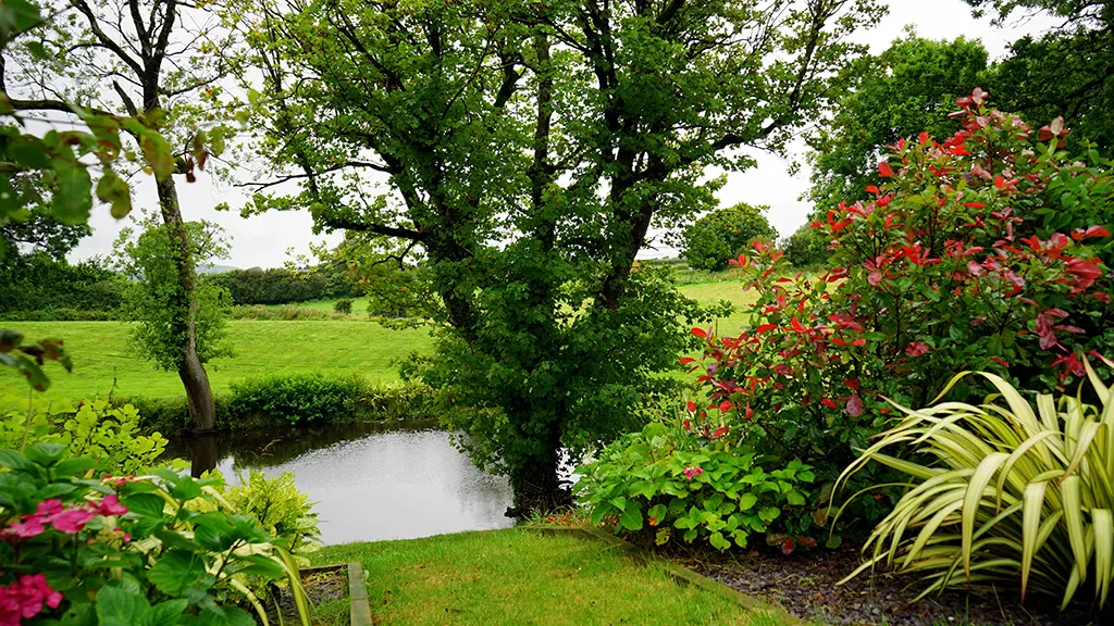 প্রাকৃতিক দৃশ্য