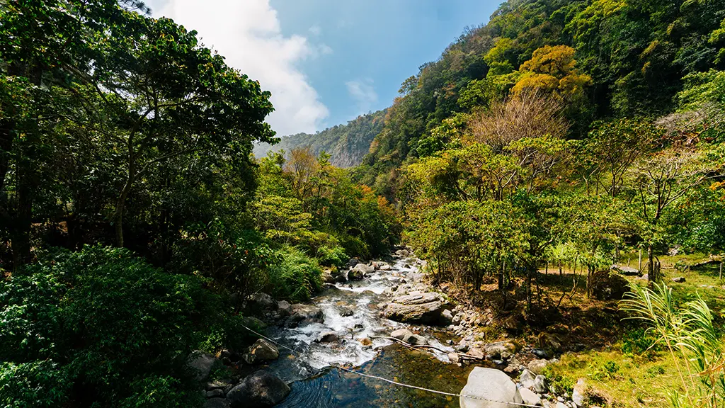প্রাকৃতিক দৃশ্য