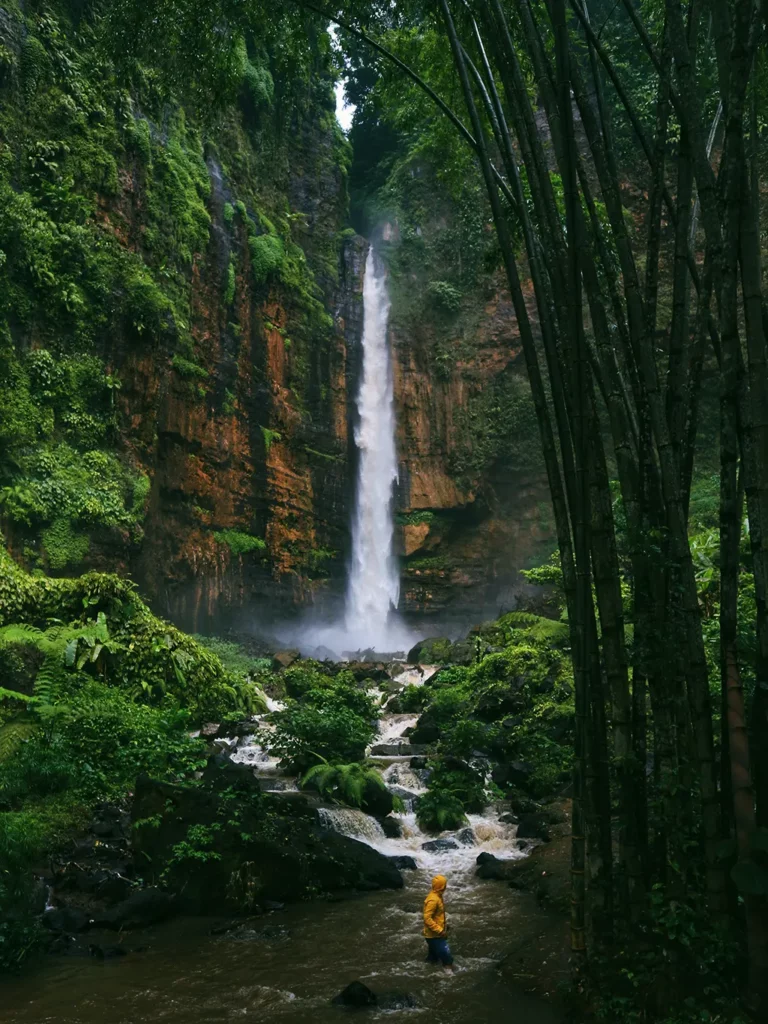 প্রাকৃতিক দৃশ্য