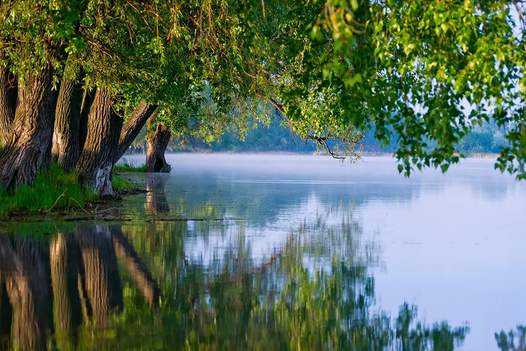 প্রাকৃতিক দৃশ্য