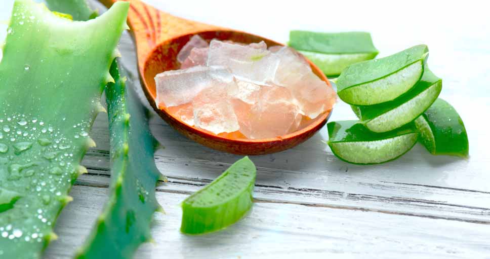 এলোভেরা জেল চুলে ব্যবহারের নিয়ম
