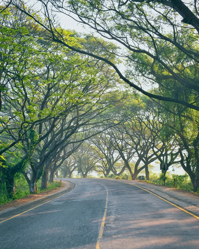 প্রাকৃতিক দৃশ্য