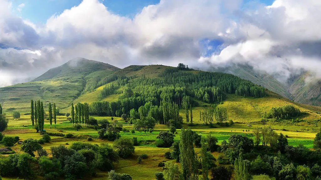 প্রাকৃতিক দৃশ্য