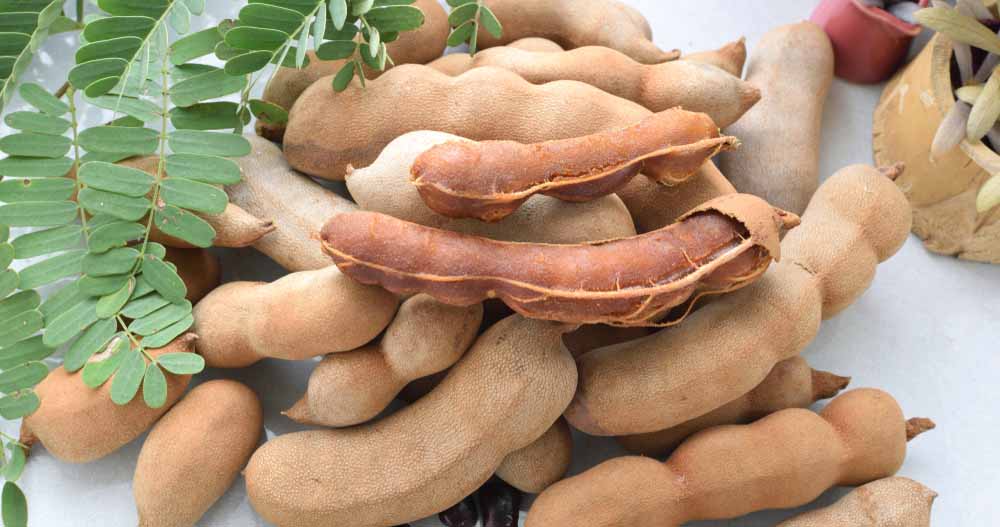 গর্ভাবস্থায় তেঁতুল খাওয়া যাবে কি