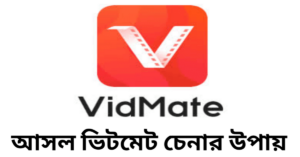আসল ভিটমেট চেনার উপায়