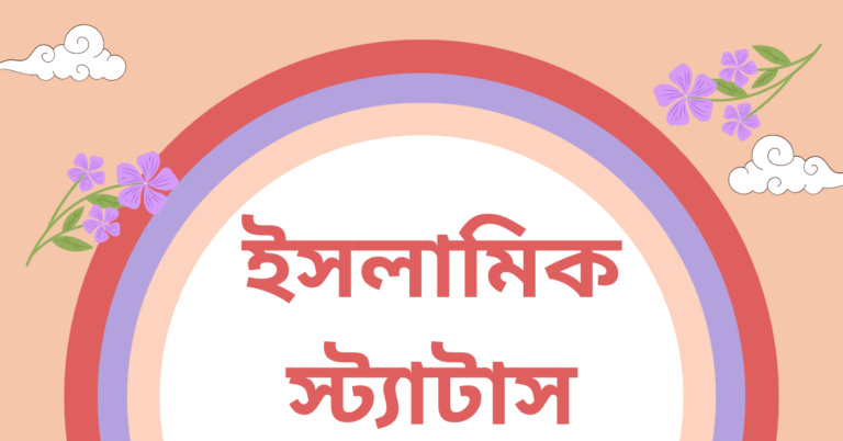 ইসলামিক স্ট্যাটাস