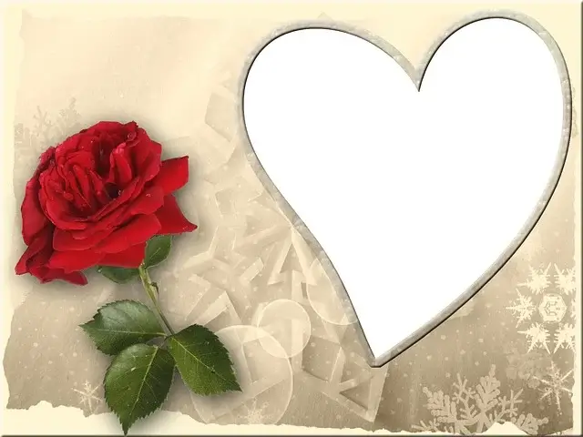 সেরা রোমান্টিক পিকচার