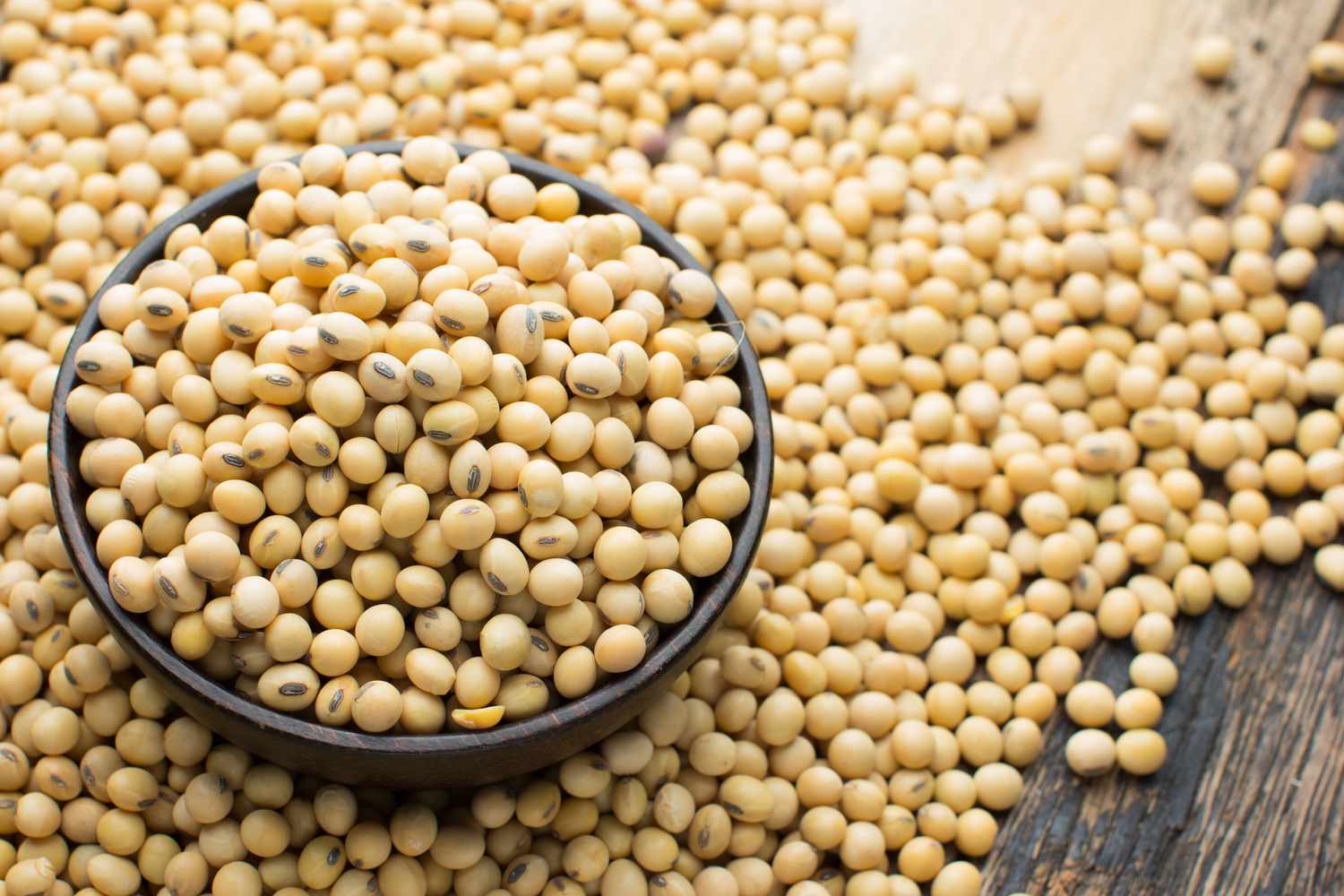 ধাপ ১: সয়াবিন প্রস্তুতি
