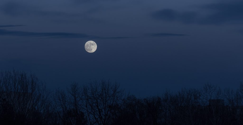 A Moonlit Night Paragraph for Class 8